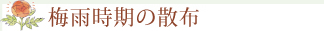 梅雨時期の散布