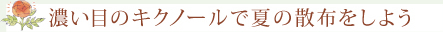 濃い目のキクノールで夏の散布をしよう