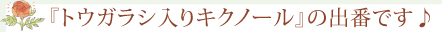 『トウガラシ入りキクノール』の出番です♪