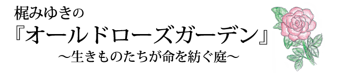 梶みゆきの オールドローズガーデン 生きものたちが命を紡ぐ庭 梶みゆきのバラの本なら 木紅木