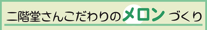 きさき』~二階堂さんの美味しいメロン~