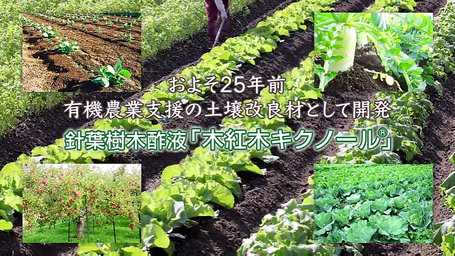 およそ25年前
有機農業支援の土壌改良材として開発
針葉樹木酢液「木紅木キクノール」