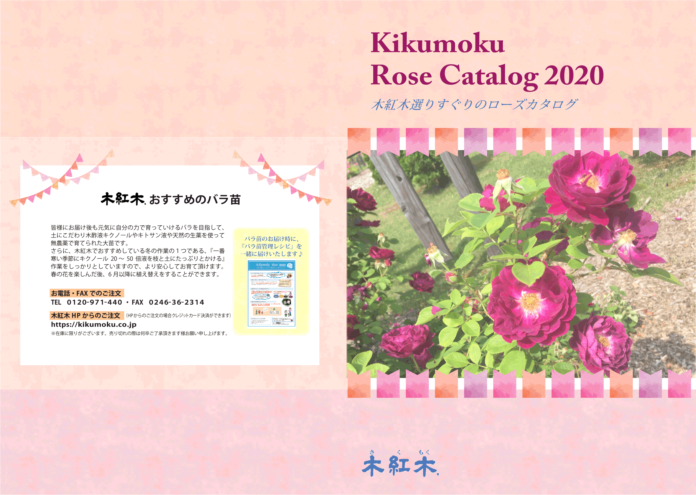 Kikumoku Rose Catalog 2020